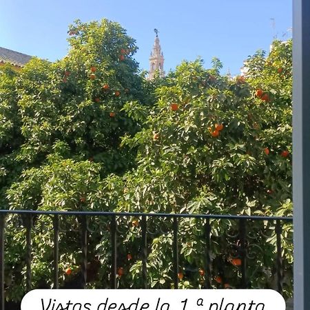 Apartamentos En La Plaza Dona Elvira, 7 Sevilla Buitenkant foto