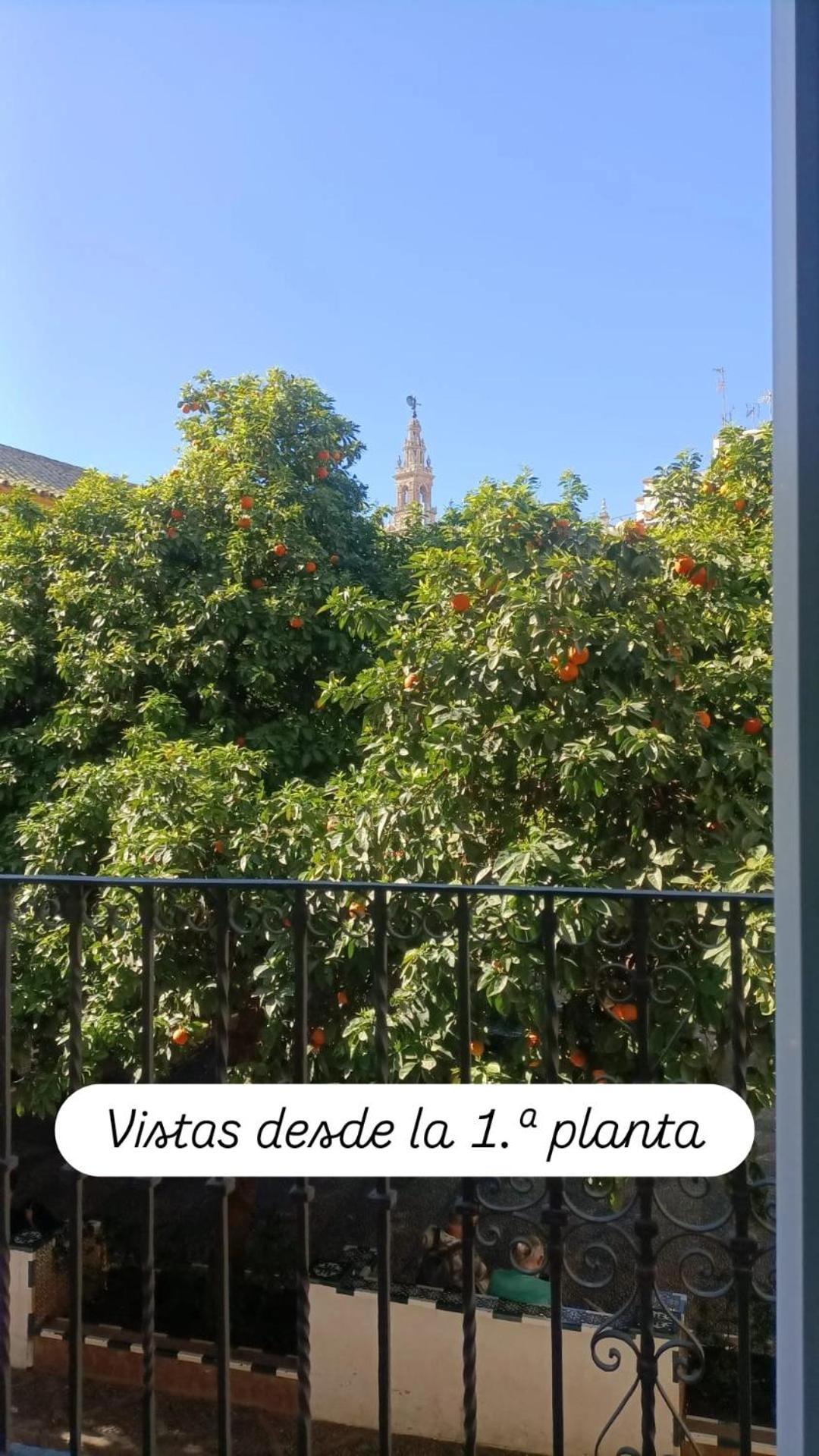 Apartamentos En La Plaza Dona Elvira, 7 Sevilla Buitenkant foto