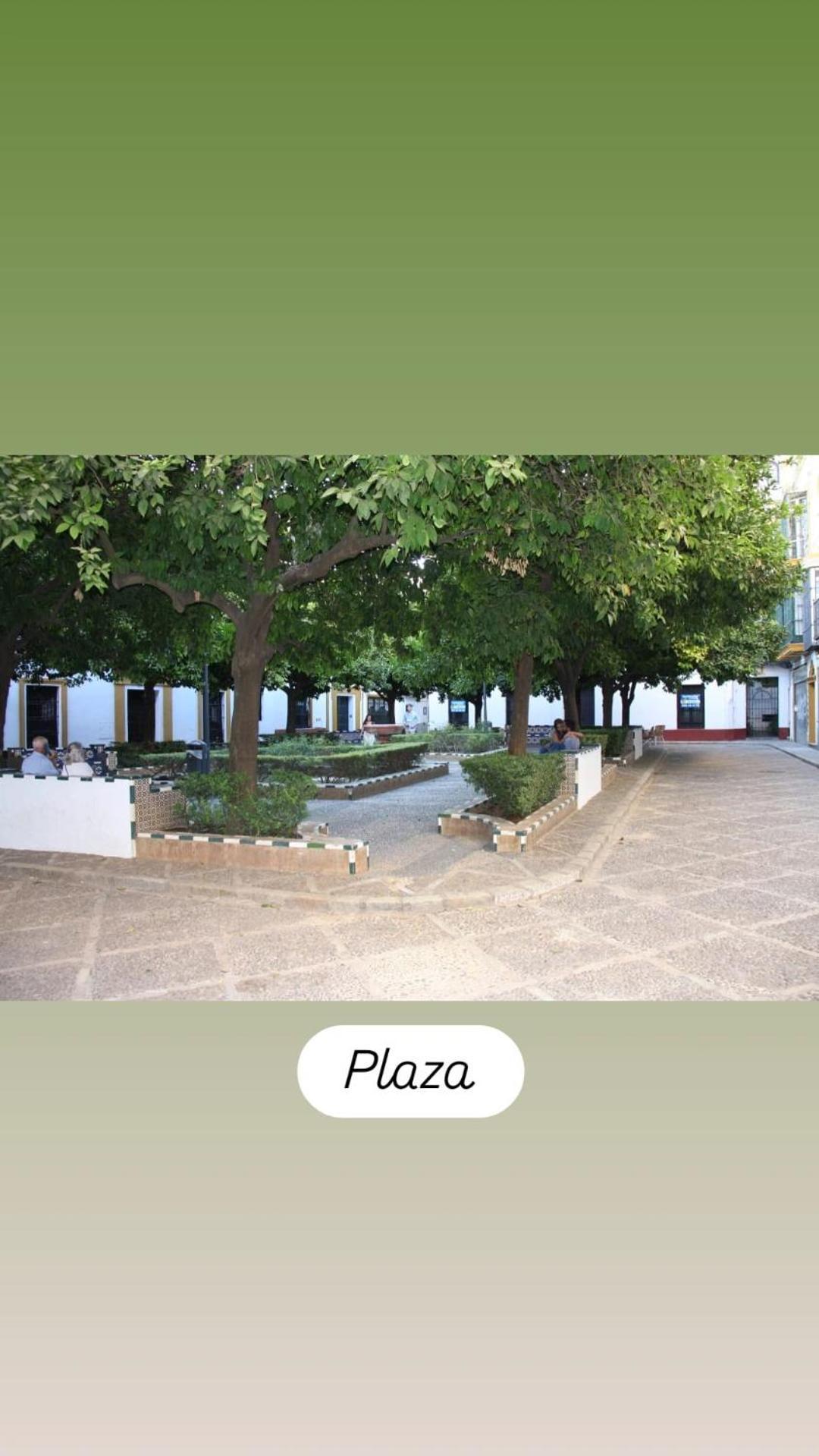 Apartamentos En La Plaza Dona Elvira, 7 Sevilla Buitenkant foto